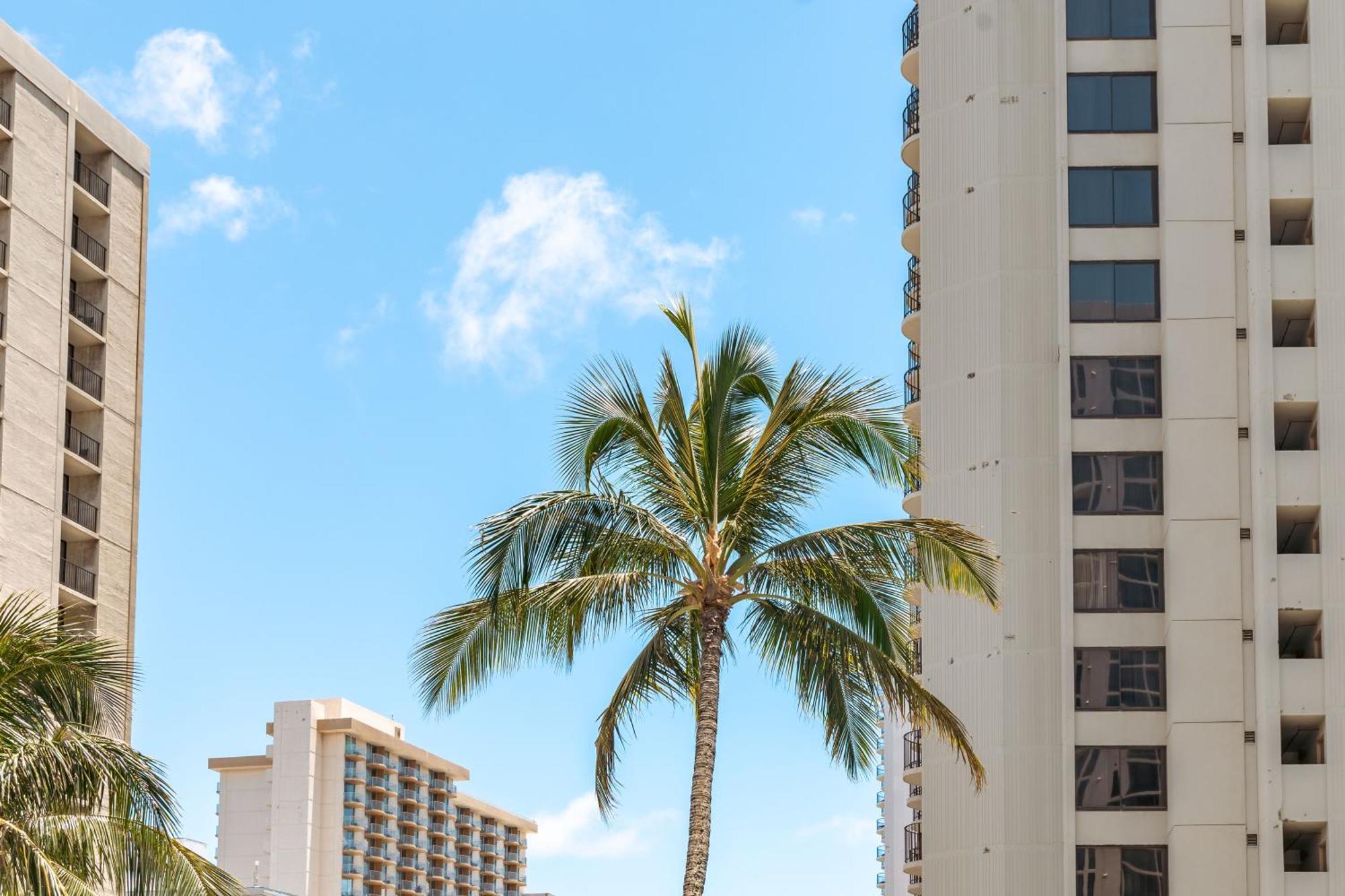 Beautiful 1Br, Steps To Waikiki Beach And Parking 호놀룰루 외부 사진
