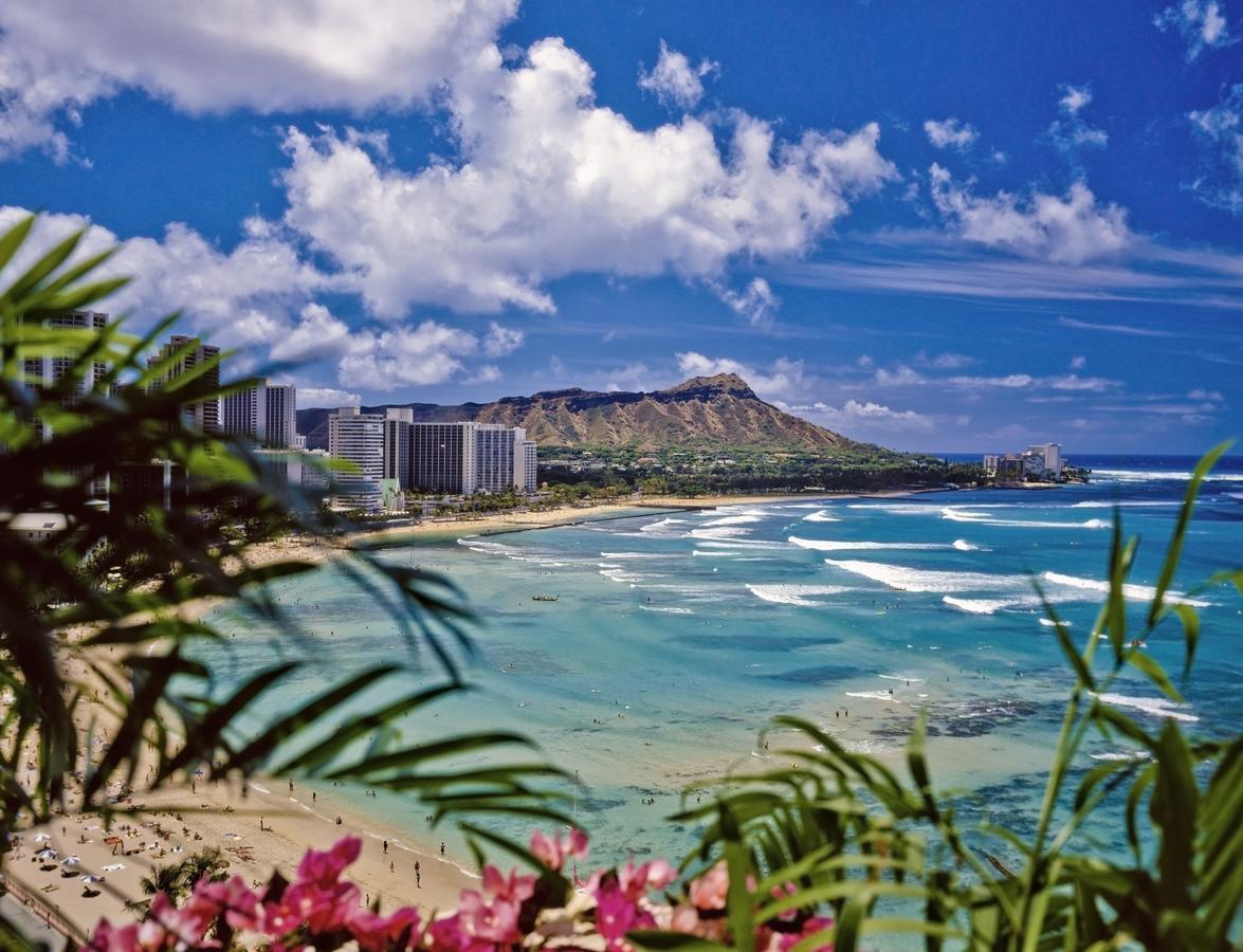 Beautiful 1Br, Steps To Waikiki Beach And Parking 호놀룰루 외부 사진